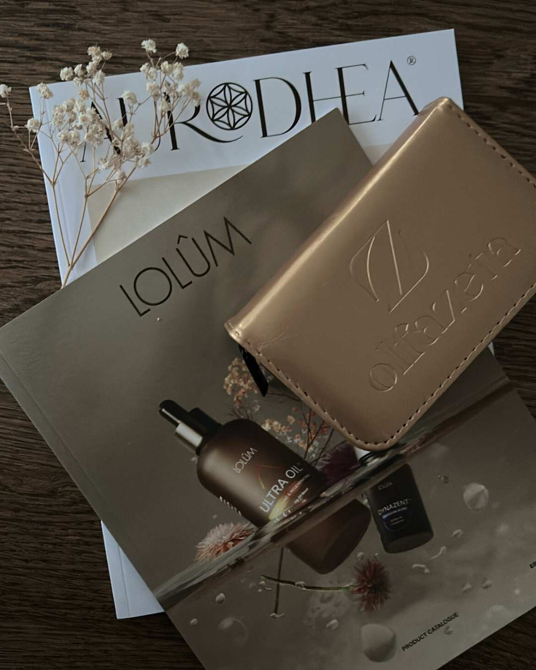 Font Guide 1 Fashion Magazin, Designer Branding, edle Schriften, Schriftkombinationen