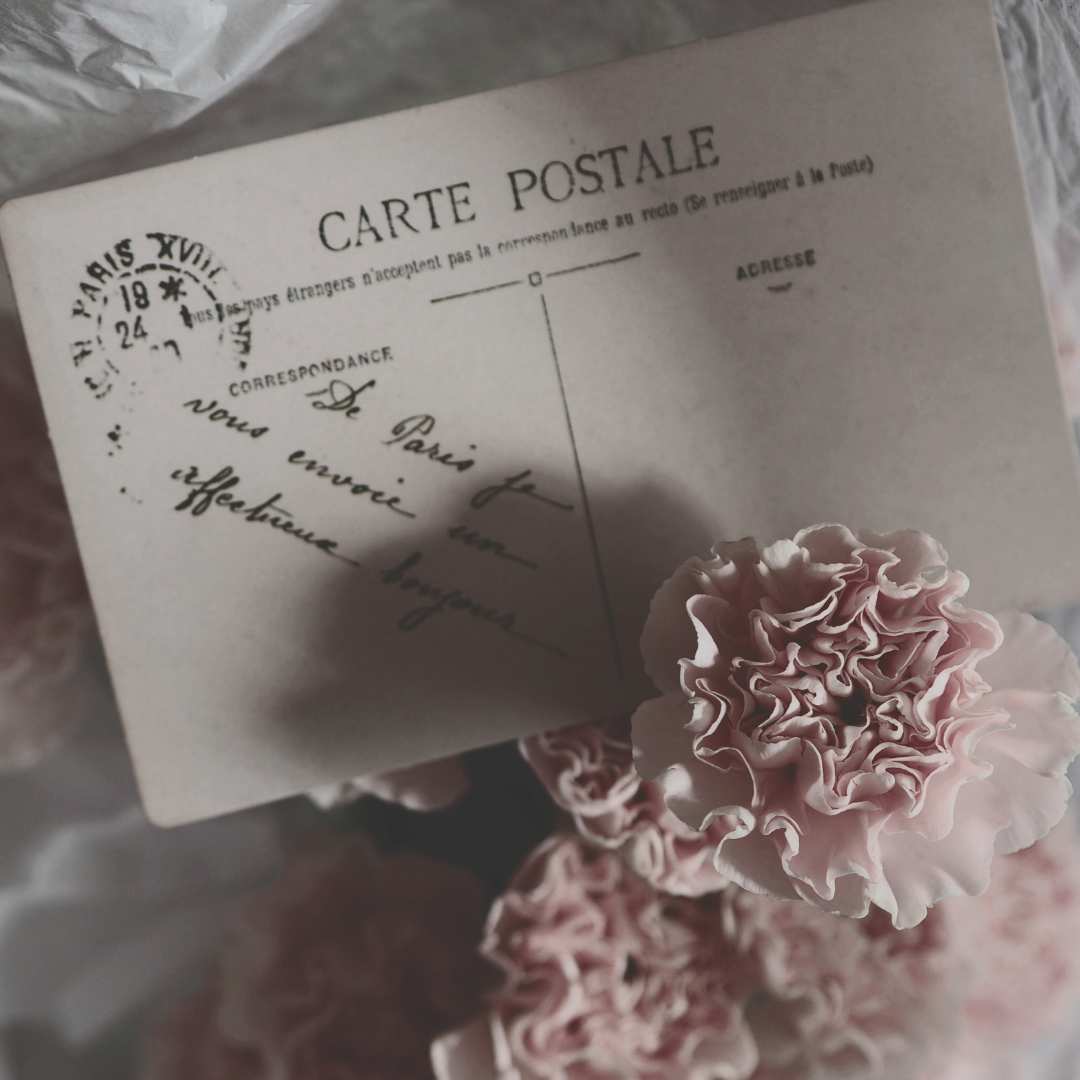 Your Font Solution Alte vergilbte Postkarte und rosa Blumen, floral romantisch ästhetisch. Guide die perfekte Branding Schrift finden.